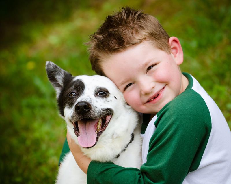 אילוף כלבים-צרכים מיוחדים - אילוף כלבים גיל 10-1