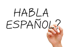 ספרדית מדוברת בסיסית
